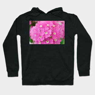 Verbena  Aztec Dark Pink Magic = 'Balazdapima'  Aztec Series Hoodie